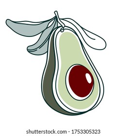 Line drawing avocado. Modern continuous line art, aesthetic contour. Vector illustration