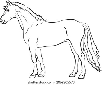 line drawing of a beautiful horse which stands 
