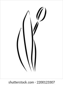 Line drawing of beauty flower