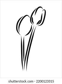 Line drawing of beauty flower