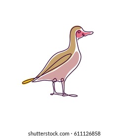  line drawing of bird. vector illustration 