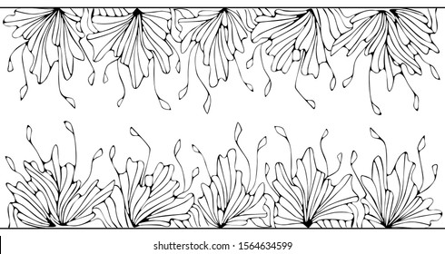 Line drawing borders from floral elements on white. Isolated on white background. Suitable for coloring book pages decor, cards, greetings.