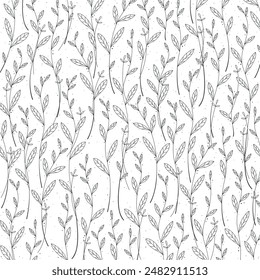 Line drawing botanical foliage floral illustration 02 decorative design