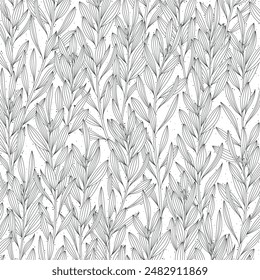 Line drawing botanical foliage floral illustration 02 Hand drawn