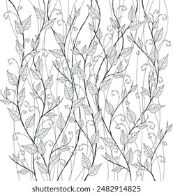 Line drawing botanical foliage floral illustration 02 hand drawn