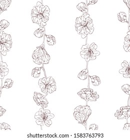 Line drawing botanical illustration. Sakura flowers on white background. Seamless spring pattern.