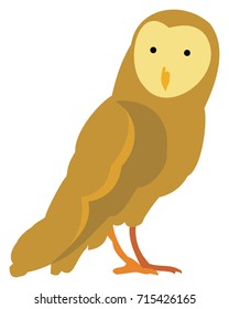 Line Drawing of a brown and gold  Barn Owl 