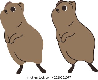 la línea dibujar Quokka marrón