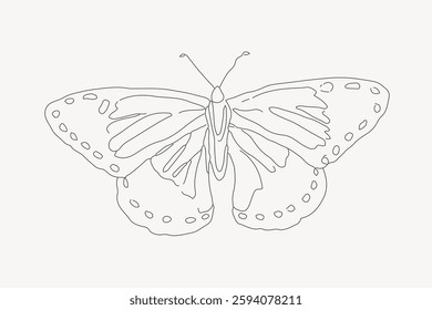 Line drawing of a butterfly with detailed wings. Butterfly outline with intricate patterns. Simple butterfly sketch for coloring or design projects. Vector illustration.