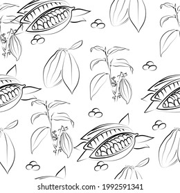 Line drawing of Cacao Beans. Vector illustration.