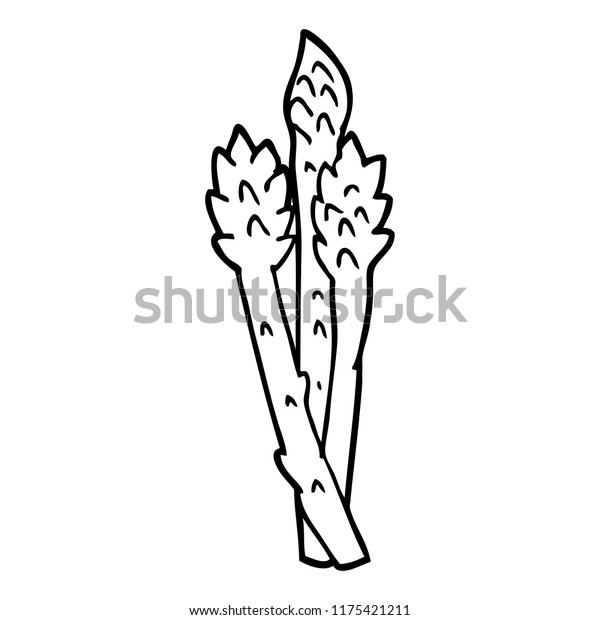 Featured image of post Asparagus Drawing Asparagus is one of the first green vegetables to come into season at the end of winter and its presence in markets heralds the start of spring