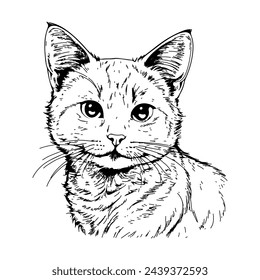 Dibujo en línea de un gato, mostrando un diseño elegante y moderno.