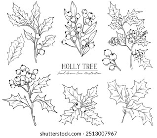 Line drawing Christmas Holly tree branches, bouquets and floral arrangements, hand drawn vector line art illustration
