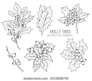 Line drawing Christmas Holly tree branches, bouquets and floral arrangements, hand drawn vector line art illustration