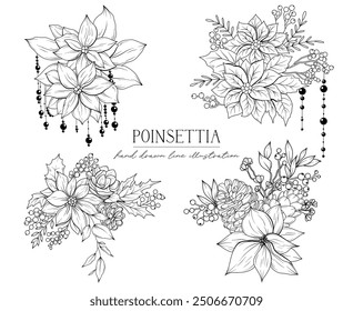 Line drawing Christmas poinsettia flowers and holly tree, bouquets and floral arrangements, hand drawn vector line art illustration