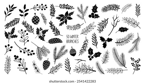 Desenho de linha Silhuetas de ramos de inverno de Natal (ramos de pinheiro, folhas de azevinho, pinecones, galhos de abeto), ilustração de vetor desenhado à mão