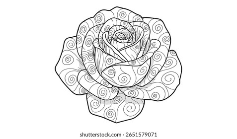 Folha colorida do desenho da linha de uma rosa florescente bonita detalhando o arranjo espiral intrincado da pétala