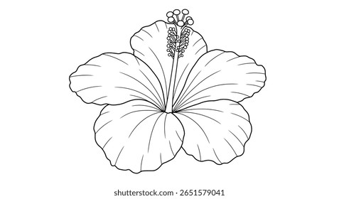 Folha de coloração de desenho de linha de uma flor de hibisco exótico mostrando seu pistilo central estendido característico