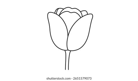 Line drawing coloring sheet illustration of a single tulip blossom emphasizing its elegant goblet profile