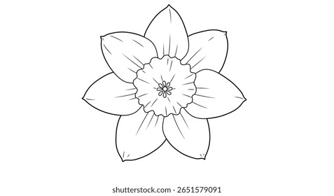Desenho de linha ilustração de folha de coloração de um único narciso florido destacando seu trompete como centro
