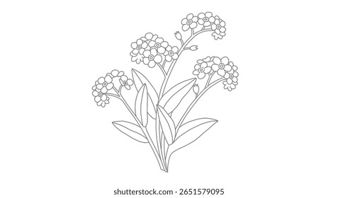 Line drawing coloring sheet of tiny forget me not blooms grouped together showing their five petal shape