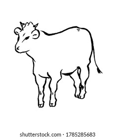 Line drawing of a cow