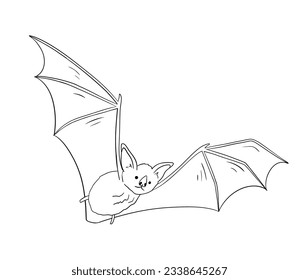 Line drawing of cute flying bat. Nocturnal mammal animal mascot for halloween. Outline vector illustration