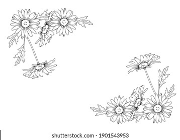 Line Drawing Daisy Flowers Vector Illustration