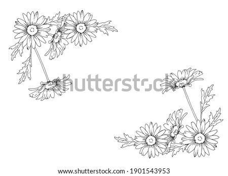 Line drawing daisy flowers vector illustration
