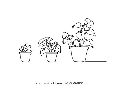 Desenho de linha que representa os estágios de crescimento de uma planta de casa florida em vasos de plântulas a florescer