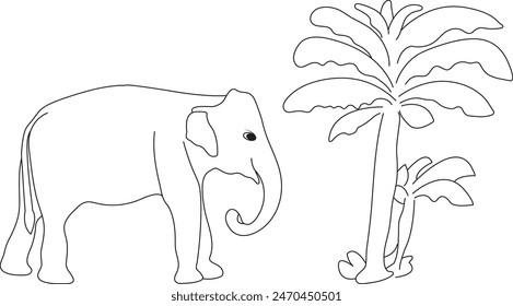 Line drawing depicting a male Asian elephant with long and beautiful tusks, Isolated vector illustration on a white background. 
