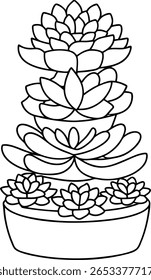 A line drawing depicts a stack of succulent plants in a pot. The plants have layered leaves and are arranged in a vertical display.