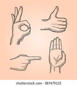 Line drawing of different hand gestures isolated on pastel background. Hand signs, alright, okay,  this way, stop, thumb up. Vector illustration