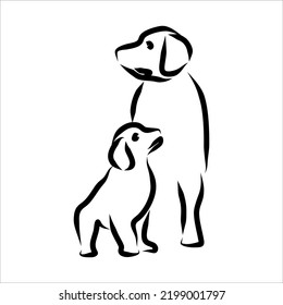 Line drawing of 
domestic dog