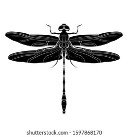 Line drawing of a dragonfly. Graphic drawing. Vector.