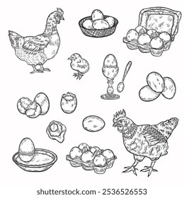 Desenho de linha de ovo, galinha, galo, galinha. Ovos antigos, galo, galinha, galinha, galinha, ovo na bandeja, ovo na cesta, ovo frito. Vetor tinta preta esboço de esboço de comida ilustração de ovos, fazenda