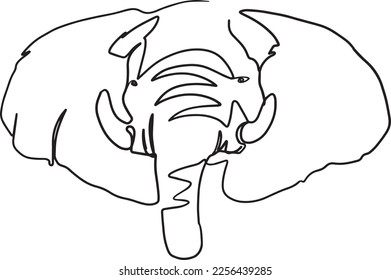  Linienzeichnung von Elefanten Wildtieren Vektorgrafik. Endlose Kunstillustration für Elefanten. Elefant-Einzeilenzeichnung. Einfaches Tierlogo.