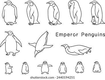 Line drawing emperor penguin illustration set
