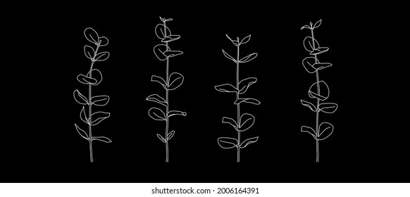 Line drawing of eucalyptus branches. Modern single line art. Vector illustration.