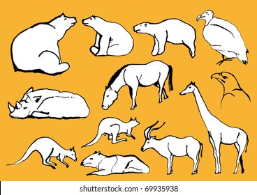 Line Drawing Exotic Animals