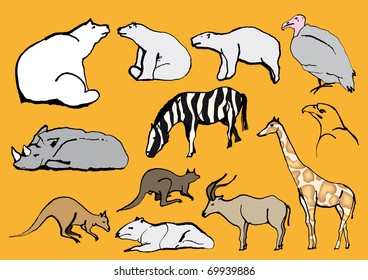 Line Drawing Exotic Animals ZOO