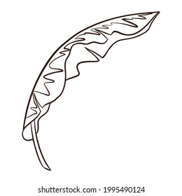 Line Drawing Exotic Banana Leaf. Line Art Floral element for logo, cosmetics, spa, emblems, stickers and prints, beauty care products