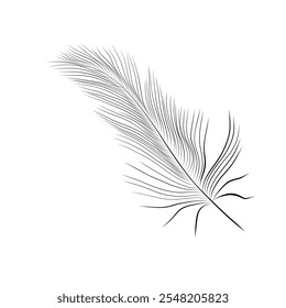 Line drawing. feather in line art style. Vector minimalistic design
