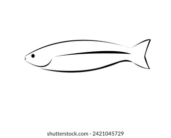 line drawing fish. hand drawn fish illustration. Simple fish line art
