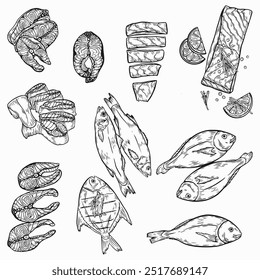 Dibujo de líneas de peces. Conjunto de pescado y productos de pescado para la etiqueta, signo, Anuncio, etiqueta engomada, publicidad. Ilustración de boceto de alimentos de contorno de pintura negra de Vector con pescado para una alimentación saludable. Vector ilustrati