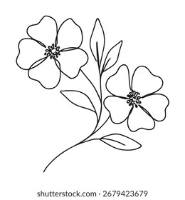 line drawing of floral element