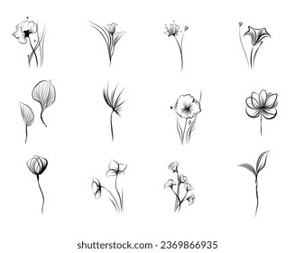 Line drawing floral elements with leaves