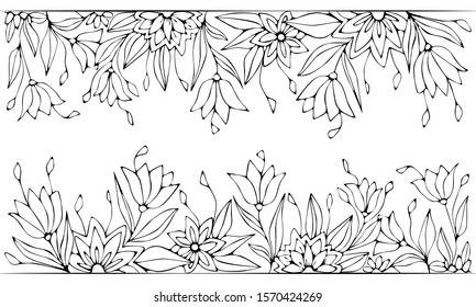  Line drawing floral horizontal border on white isolated background. Decorative flowers and leaves.