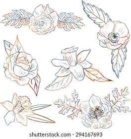 line drawing floral set drawn by colored pencils with flowers and leaves, creative multicolor decorative collection for design, natural isolated elements