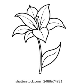 A line drawing of a flower.